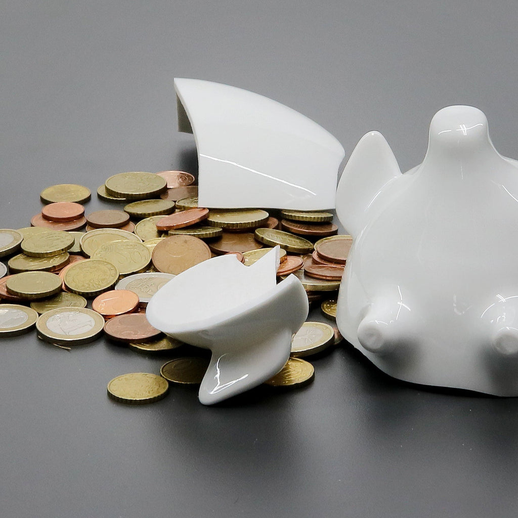 "double" piggy bank