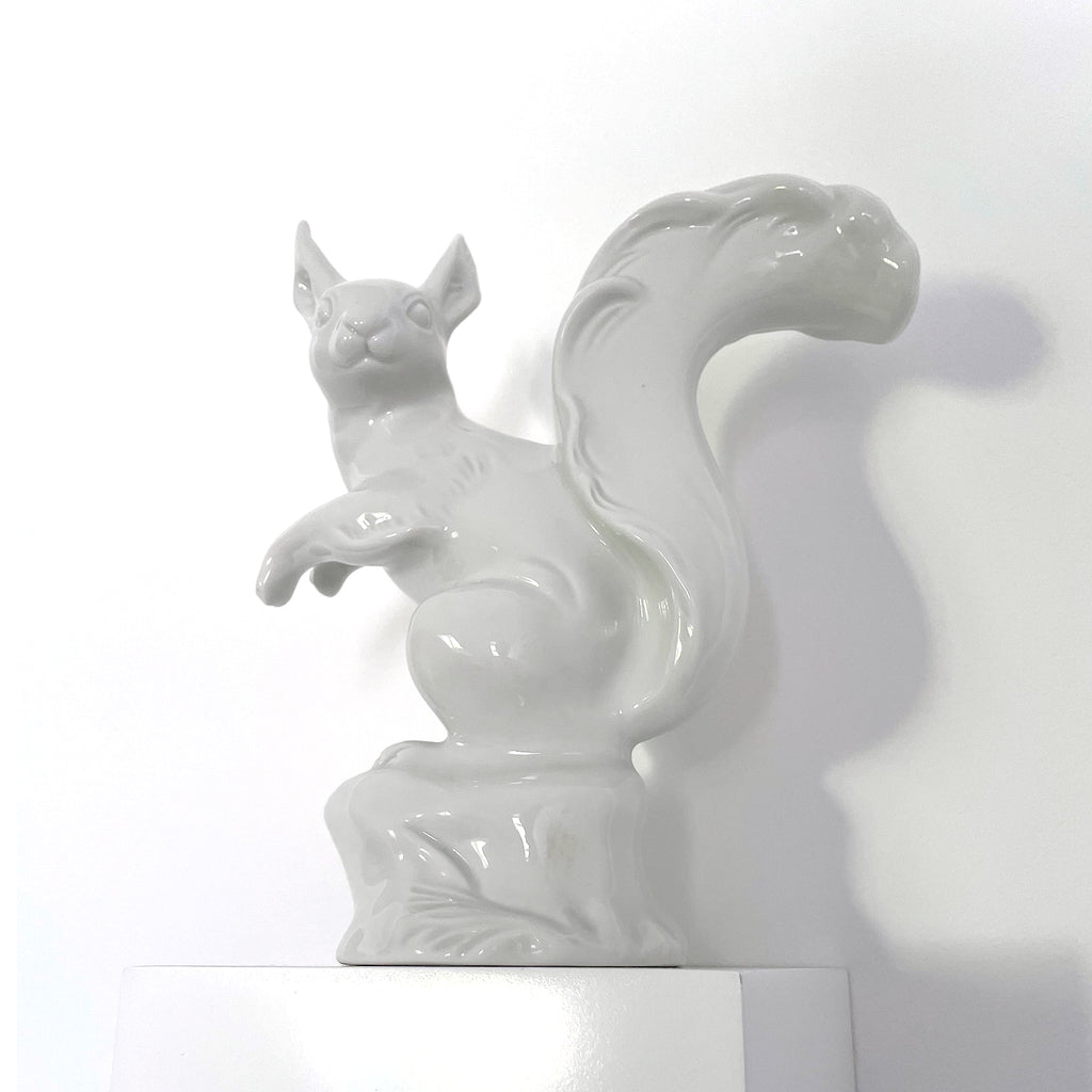 SQUIRREL money box