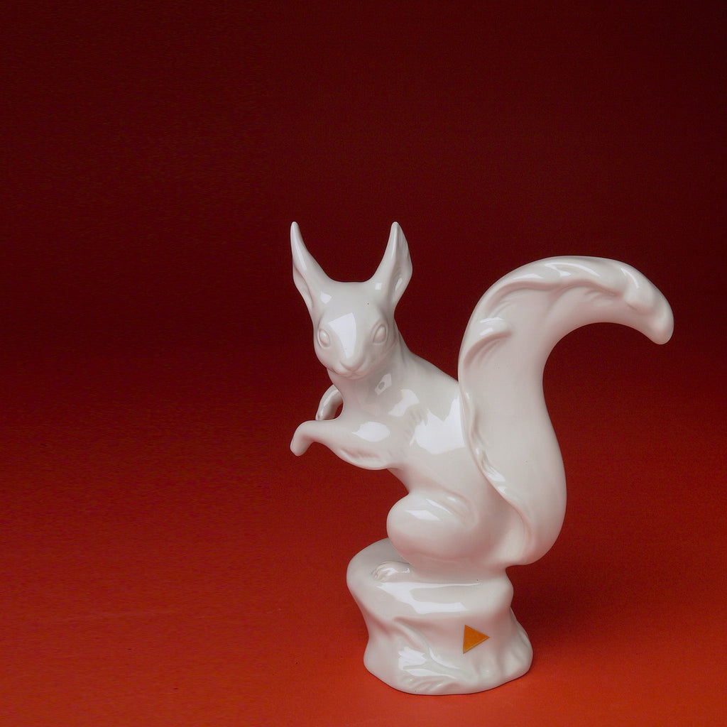 SQUIRREL money box