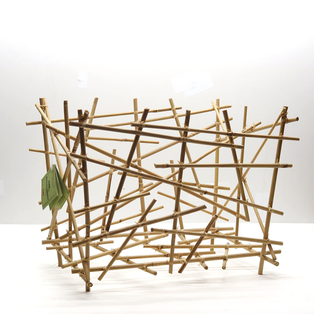 Fratelli Campana, BLOW UP BAMBOO, the magazine rack for ALESSI