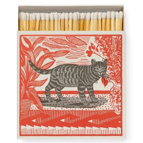 Matches SASHA THE CAT