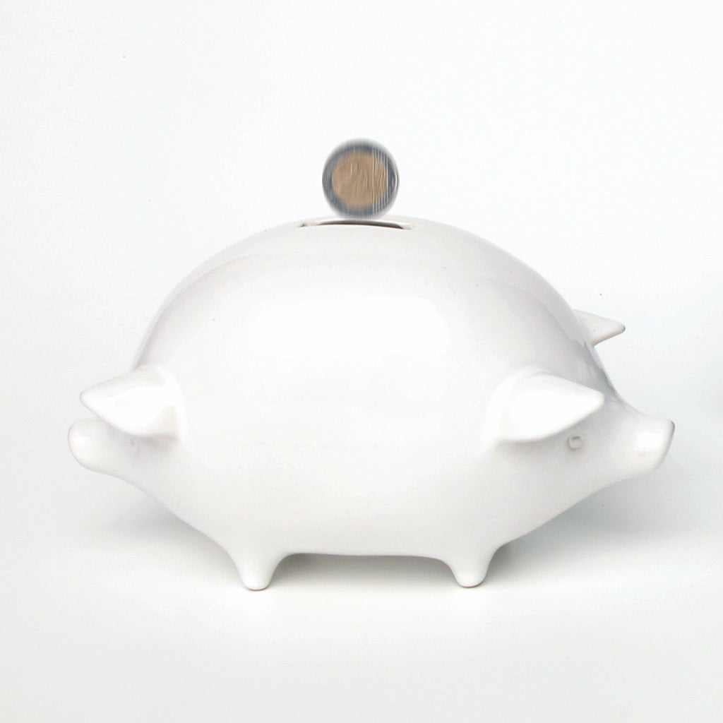 "double" piggy bank