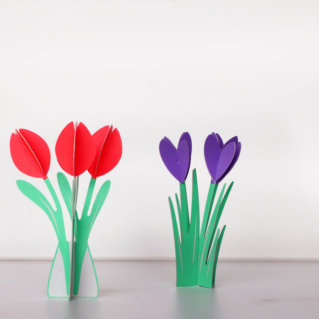 Tulips popout card