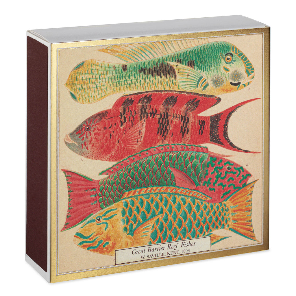 Matches FISCHE
