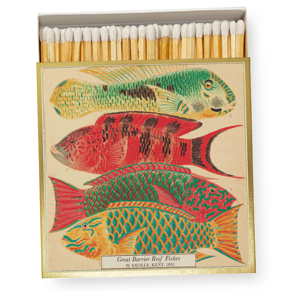Matches FISCHE